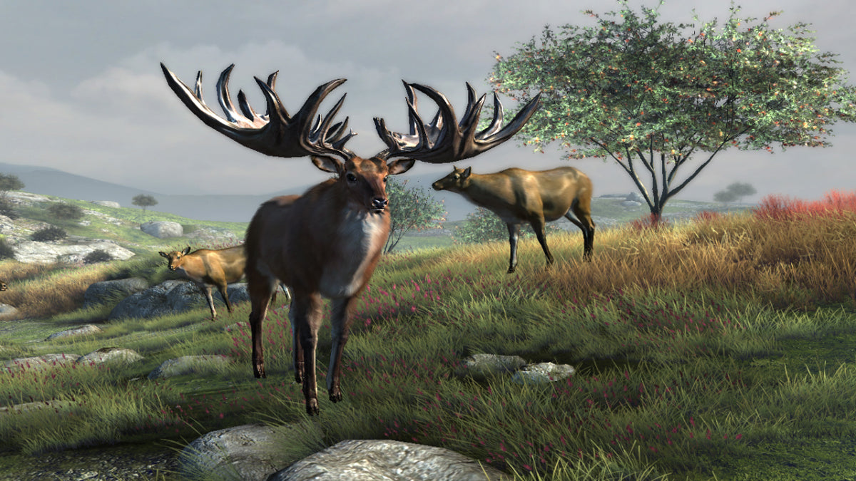 Big Buck Reloaded (42" LCD Monitor) Arcade Game