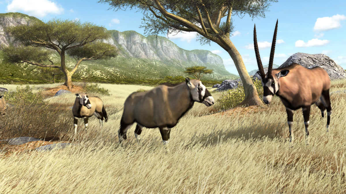 Big Buck Reloaded (42" LCD Monitor) Arcade Game