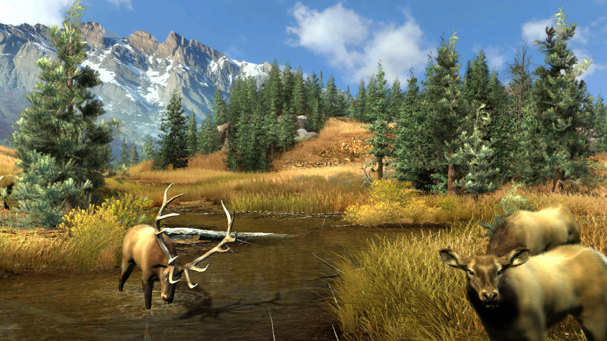 Big Buck Reloaded (42" LCD Monitor) Arcade Game