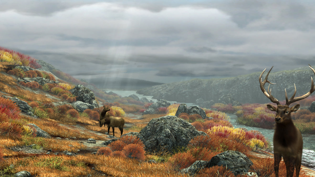 Big Buck Reloaded (42" LCD Monitor) Arcade Game