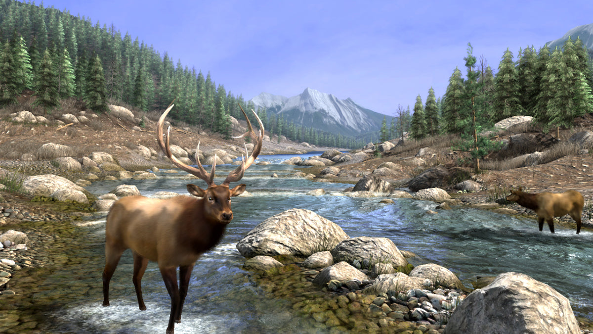 Big Buck Reloaded (42" LCD Monitor) Arcade Game