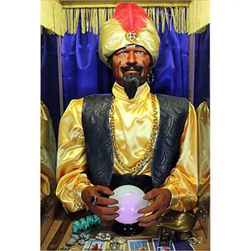 Zoltar (Economy) Fortune Teller Machine